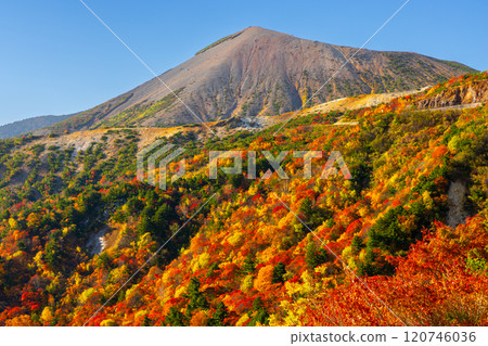 Fukushima City, Fukushima Prefecture: The Bandai Azuma Skyline, which connects Takayu Onsen and Tsuchiyu Pass, and the vibrant autumn foliage near Tengu Garden and Mount Azuma Kofuji 120746036