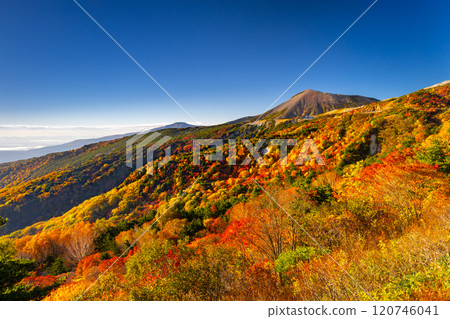 福島縣福島市,連接高湯溫泉和土湯關的萬代東天際線,天狗花園和東小富士附近鮮豔的秋葉 福島縣福島市,連接高湯溫泉和土湯關的萬代東天際線,天狗花園和東小富士附近鮮豔的秋葉 120746041