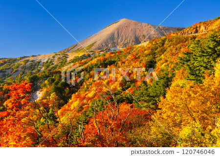 Fukushima City, Fukushima Prefecture: The Bandai Azuma Skyline, which connects Takayu Onsen and Tsuchiyu Pass, and the vibrant autumn foliage near Tengu Garden and Mount Azuma Kofuji Fukushima City, Fukushima Prefecture: The Bandai Azuma Skyline, which connects Takayu Onsen and Tsuchiyu Pass, and the vibrant autumn foliage near Tengu Garden and Mount Azuma Kofuji 120746046