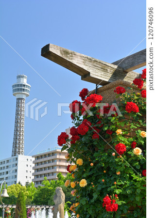 Yokohama · Yamashita Park 120746096