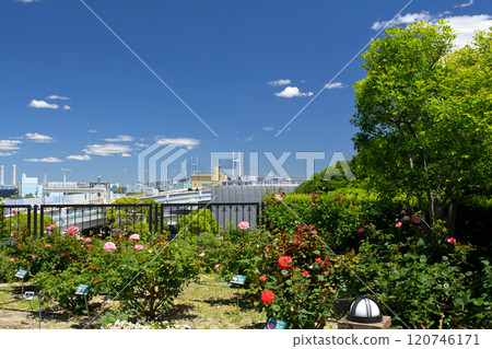 Yokohama - Yamate Yokohama - Yamate 120746171