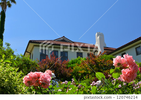 可以看到橫濱·港口的山公園 可以看到橫濱·港口的山公園 120746214