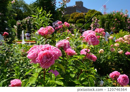Hill Park where Yokohama · Harbor can be seen 120746364