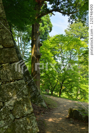 日本100大城堡·Takajyo 日本100大城堡·Takajyo 120746400