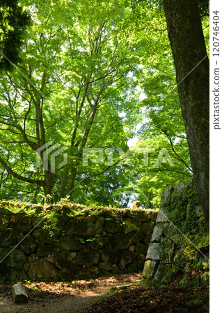 Japan 100 Great castle · Takajyo 120746404