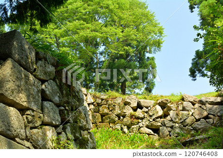 日本100大城堡·Takajyo 120746408