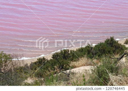 Pink Lake, Australia 120746445
