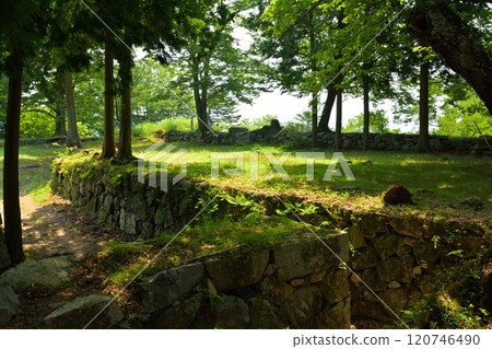 Japan 100 Great castle · Takajyo 120746490