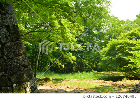 日本100大城堡·Takajyo 120746495