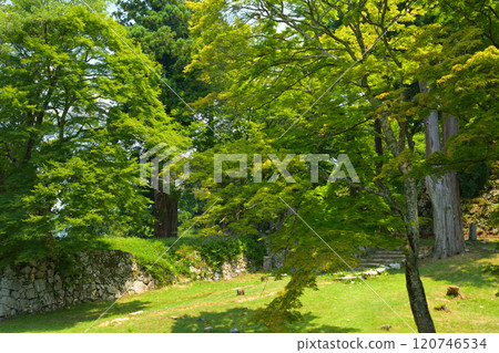 Japan 100 Great castle · Takajyo 120746534