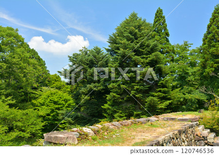 Japan 100 Great castle · Takajyo 120746536
