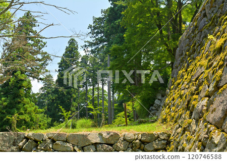 Japan 100 Great castle · Takajyo 120746588