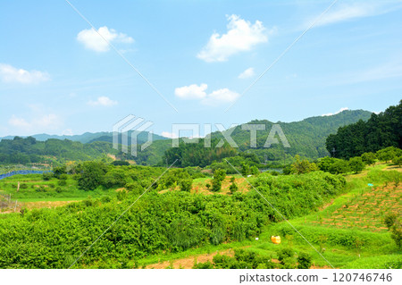 Asuka / Takamatsuzuka Kofun 120746746