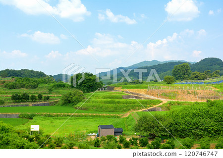 明日香/高松塚Kofun 120746747