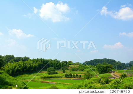 明日香/高松塚Kofun 120746750