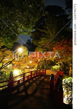 Autumn leaves lighted up Autumn leaves lighted up 120746771