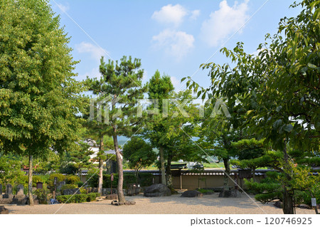 奈良/明日香寺 奈良/明日香寺 120746925