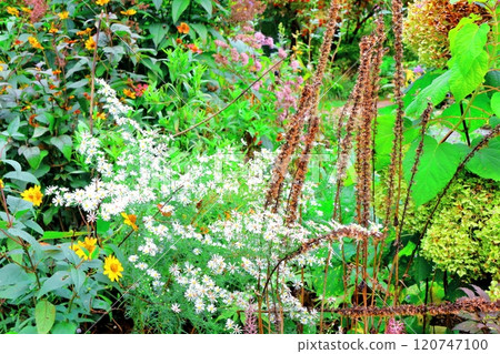 北海道遊記十月初的上野農場第二部分 秋天的上野農場 秋天的上野農場 120747100