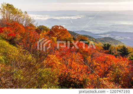 Fukushima City, Fukushima Prefecture: The Bandai Azuma Skyline connects Takayu Onsen and Tsuchiyu Pass. Vivid autumn foliage near Tengu Garden overlooking the city. 120747193