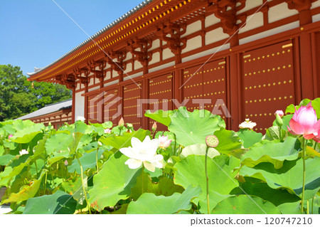 Nara · Yakushiji Nara · Yakushiji 120747210