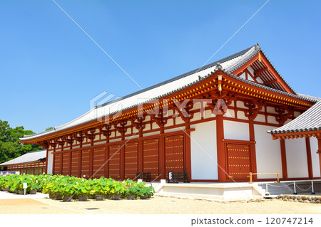 Nara · Yakushiji Nara · Yakushiji 120747214
