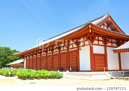 Nara · Yakushiji Nara · Yakushiji 120747215
