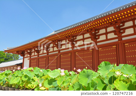 奈良·Yakushiji 120747216