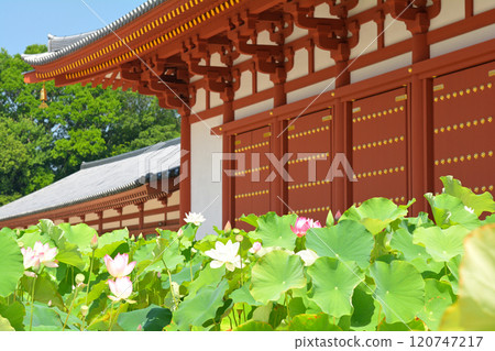 奈良·Yakushiji 奈良·Yakushiji 120747217