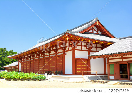 Nara · Yakushiji 120747219