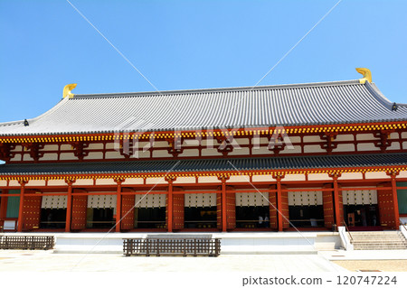 Nara · Yakushiji 120747224