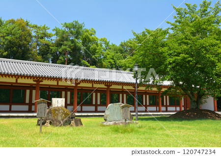 Nara · Yakushiji 120747234