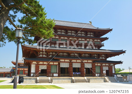 Nara · Yakushiji 120747235