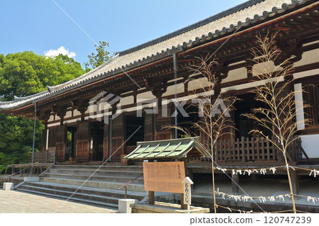 Nara · Yakushiji 120747239