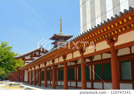 奈良·Yakushiji 奈良·Yakushiji 120747241