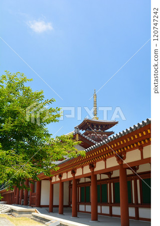 奈良·Yakushiji 奈良·Yakushiji 120747242