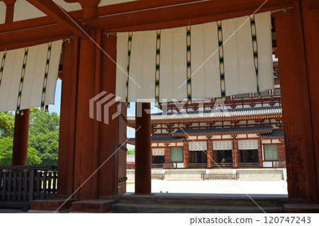 奈良·Yakushiji 120747243