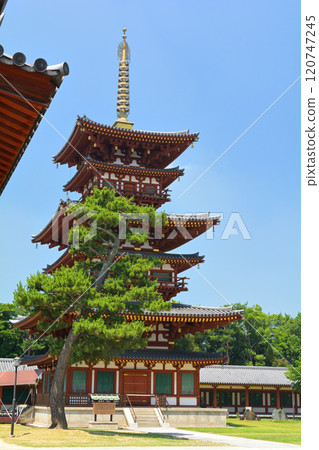 Nara · Yakushiji 120747245