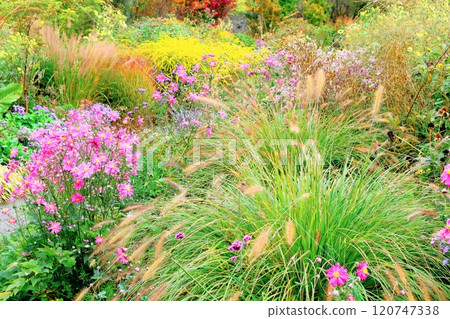北海道遊記十月初的上野農場第二部分 秋天的上野農場 秋天的上野農場 120747338