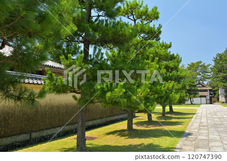 Nara · Yakushiji Nara · Yakushiji 120747390