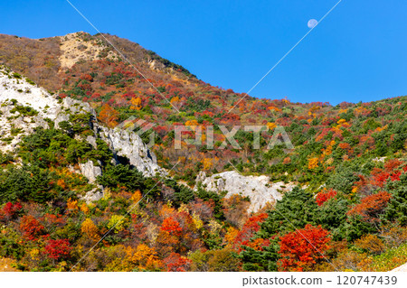 Vivid autumn foliage near Kamoshikazawa on the Bandai-Azuma Skyline, which connects Takayu Onsen and Tsuchiyu Pass in Fukushima City, Fukushima Prefecture Vivid autumn foliage near Kamoshikazawa on the Bandai-Azuma Skyline, which connects Takayu Onsen and Tsuchiyu Pass in Fukushima City, Fukushima Prefecture 120747439