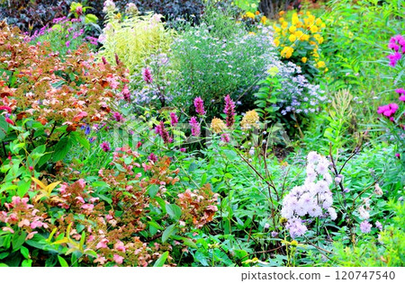 北海道遊記十月初的上野農場第二部分 秋天的上野農場 秋天的上野農場 北海道遊記十月初的上野農場第二部分 秋天的上野農場 秋天的上野農場 120747540