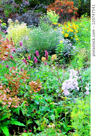 Hokkaido Travelogue: Ueno Farm in early October (Part 2) Autumn leaves at Ueno Farm Autumn at Ueno Farm 120747541