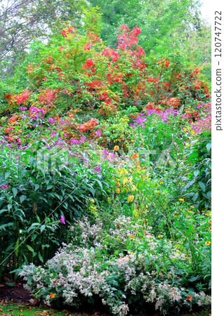 北海道遊記十月初的上野農場第二部分 秋天的上野農場 秋天的上野農場 120747722