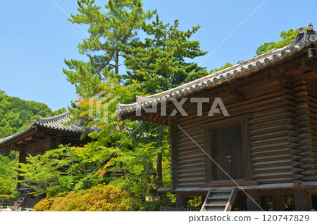 奈良·Toshodaiji寺 奈良·Toshodaiji寺 120747829