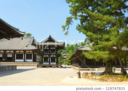 奈良·Toshodaiji寺 120747833