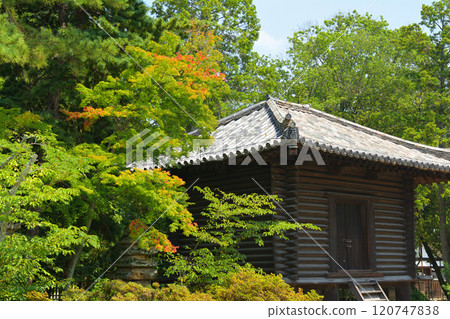 奈良·Toshodaiji寺 奈良·Toshodaiji寺 120747838