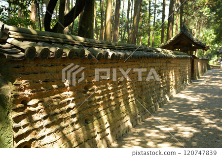 奈良·Toshodaiji寺 奈良·Toshodaiji寺 120747839
