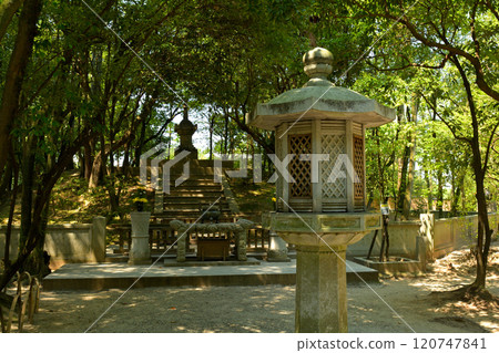 Nara · Toshodaiji Temple 120747841