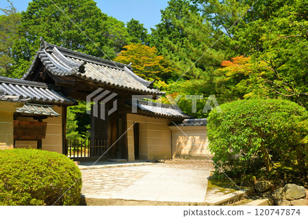 Nara · Toshodaiji Temple 120747874