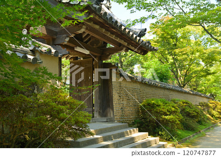 奈良·Toshodaiji寺 120747877